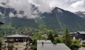 Tocht Stappen Chamonix-Mont-Blanc - Chamonix La Cascade du dard  - Photo 11