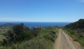 Trail Mountain bike Collioure - Circuit Collioure-Tour de la Madaloc - Photo 3