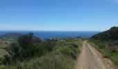 Tour Mountainbike Collioure - Circuit Collioure-Tour de la Madaloc - Photo 3