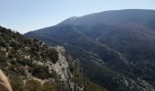 Randonnée Marche Beaumont-du-Ventoux - sommet de la plate - Photo 10