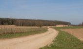 Excursión A pie Montferland - Galgenberg route - Photo 4