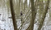 Tour Wandern Nivelles - BE-Bornival - Bois d'En-Bas  - Ecluse 24 - Ancien canal - Photo 13