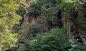Randonnée Marche Vic-sur-Cère - Pas de Cère- cascade de Gourdole - Photo 14