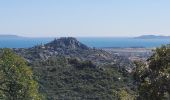 Excursión Senderismo Hyères - Chateau Saint Bernard - Photo 19