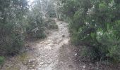 Tocht Stappen Laroque-des-Albères - Laroque-des-Albères . ballade de 2 fontaines  - Photo 18