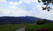 Randonnée A pied Seeheim-Jugenheim - Ortsrundwanderweg Ober-Beerbach 2: Panorama Weg - Photo 5