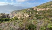 Trail  Appietto - Rocher des Gozzi - Photo 11