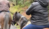 Trail Horseback riding Moyenmoutier - Christophe yoigo malfosse  - Photo 1
