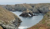 Excursión Senderismo Bangor - 3-Port Coton - Locmaria à Belle Île en mer  - Photo 3