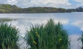 Trail Walking Guidel - PR_56_Guidel_CA_03_Autour-De-L-Etang-De-Lannenec_Circuit3a_20240428 - Photo 10