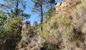 Excursión Senderismo Théoule-sur-Mer - Théoule, le rocher des Monges, N.D d'Afrique - Photo 4