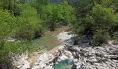 Tour Wandern Plaisians - montagne de Bluye  - Photo 2