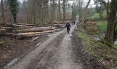 Tocht Stappen Anhée - 2018-12-29 Maredsous 29 km - Photo 3