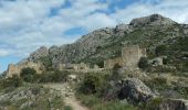 Tour Wandern Lumio - Ruines d'Occi - Photo 5