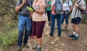 Tour Wandern Laure-Minervois - Laure Mvois (Capitelles) - Photo 1