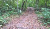 Trail Walking Saint-Gobain - SityTrail - 831699 - cdt2-70 - Photo 1