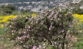 Trail Walking Le Tholonet - le tour des trois barrages - Photo 8