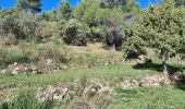 Randonnée Marche Fayence - fayence vallon de la camandre - Photo 8
