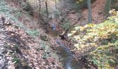 Trail Walking Aywaille - ninglinspo rando 21 - Photo 9