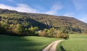 Trail Walking Rochechinard - Chateau de Rochechinard - Photo 11
