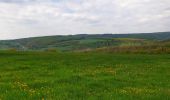 Excursión Senderismo Doische - De Gochenée à Vodelée par la vallée de l'Hermeton - Photo 17