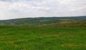 Trail Walking Doische - De Gochenée à Vodelée par la vallée de l'Hermeton - Photo 17