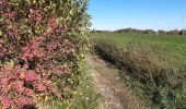 Tour Wandern Neupré - 21.10.24 plainevaux - Photo 3