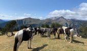 Trail Horseback riding Torla-Ordesa - Parc national d’Ordessa J2 - Photo 10