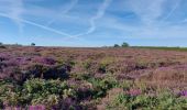 Randonnée Marche Plévenon - BOUCLE DEPUIS PLENEVON AVEC CAP FREHEL ET FORT LA LATTE - Photo 1