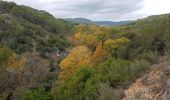 Trail Walking Saint-Antonin-du-Var - SAINT-ANTONIN DU VAR - ENTRE MENTONE ET SALERNES - Photo 7