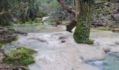 Trail Walking Plan-d'Aups-Sainte-Baume - grotte M Madeleine et Huveaunne - Photo 12