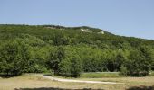 Tour Zu Fuß Pretzfeld - Wichsenstein-Dicker Berg - Photo 3