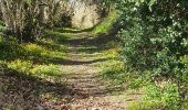 Trail Walking Callac - un tam tro Kallag 22 - Photo 3