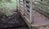 Trail Walking Crouy-sur-Ourcq - Marais de Negando et le Clignon depuis Crouy sur Ourcq - Photo 5