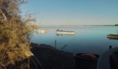 Excursión Senderismo Villeneuve-lès-Maguelone - Villeneuve les Salins - Photo 2