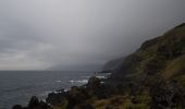 Excursión A pie Calheta de Nesquim - Calheta do Nesquim - Photo 1