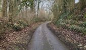 Tour Wandern Modave - Pont de Bonne 060224 - Photo 15