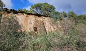 Tour Wandern La Londe-les-Maures - Valcros - Photo 13