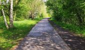 Tour Wandern Lüttich - Promenade du Vallon du Ry-Ponet  - Photo 4