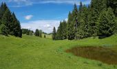 Excursión Senderismo Les Moussières - jura 22 juin19  hors piste - Photo 2