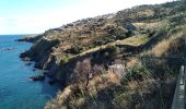 Excursión Senderismo Banyuls-sur-Mer - Banyuls Cerbère  - Photo 2