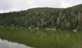 Tour Wandern Sulzern - lac vert, lac du forlet - Photo 4