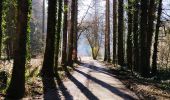 Trail Walking Houyet - Promenade vers les Aiguilles De Chaleux  - Photo 4