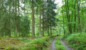 Excursión Senderismo Viroinval - Balade à Oignies-en-Thiérache - Le Ry d'Alise - Photo 8