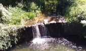 Tocht Stappen Cambon-et-Salvergues - Haute Vallée de l'Agout - Photo 6