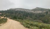 Trail Walking Allauch - Allauch - Photo 1