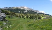 Excursión Senderismo Châtillon-en-Diois - Vallon de Combau - Pas de l'Aiguille - Photo 9