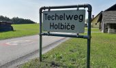 Tour Zu Fuß Schiefling am Wörthersee - Hafnersee - Roda - Photo 4