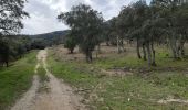 Tour Wandern Maureillas-las-Illas - dolmen de la Siureda via tour Bel Ull - Photo 13