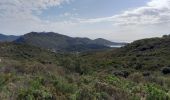 Randonnée Marche Saint-Raphaël - Estérel / Le Crapas, Les Ferrières, Caous  - Photo 3